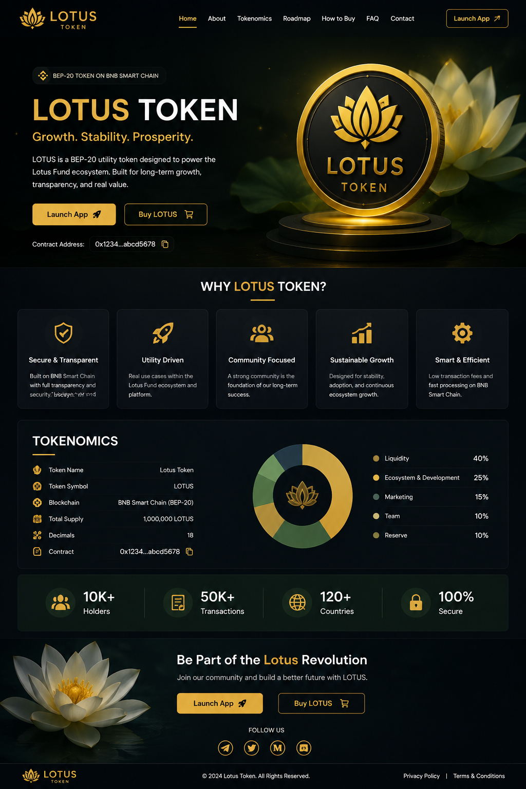 TOKEN &VMLM PLAN